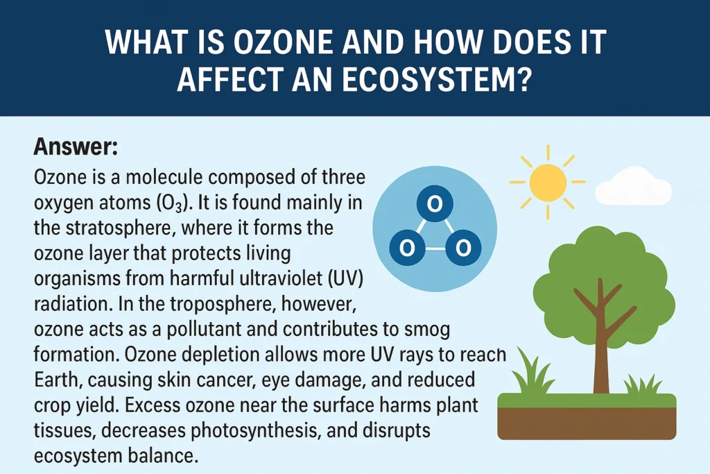what is ozone and how does it affect any ecosystem